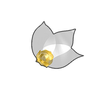 Kurdsat HD